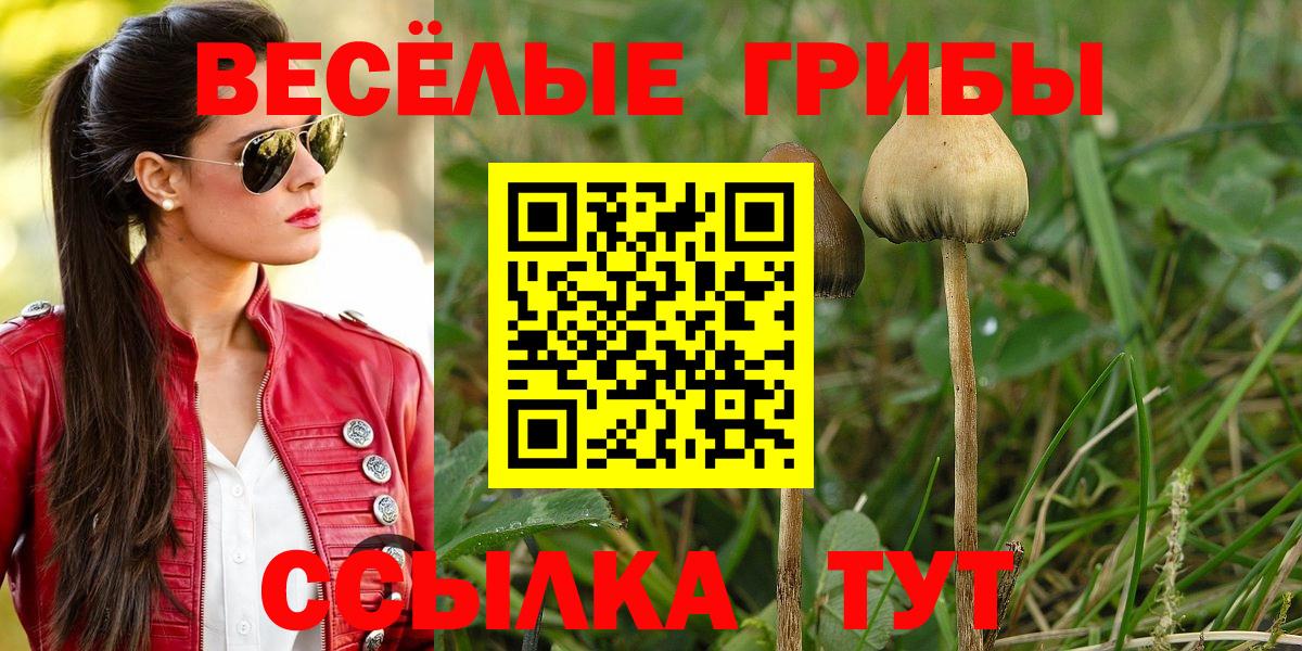 Псилоцибиновые грибы Psilocybine cubensis  Вход с VPN  Галлюциногенные грибы мухоморы  купить   Усть-Джегута 