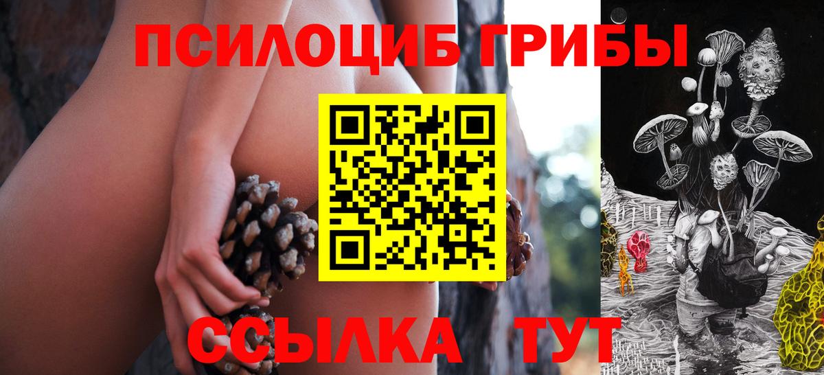 Псилоцибиновые грибы Psilocybine cubensis Усть-Джегута